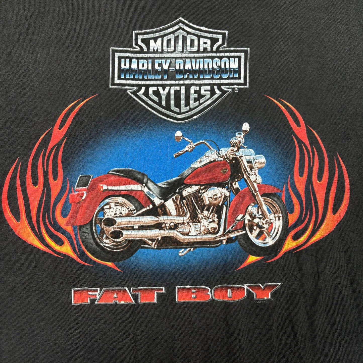 (xXxL) Harley Davidson T-Shirt